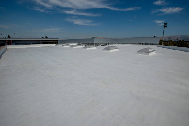 Best Gutter Installation and Repair  in Payne, OH
