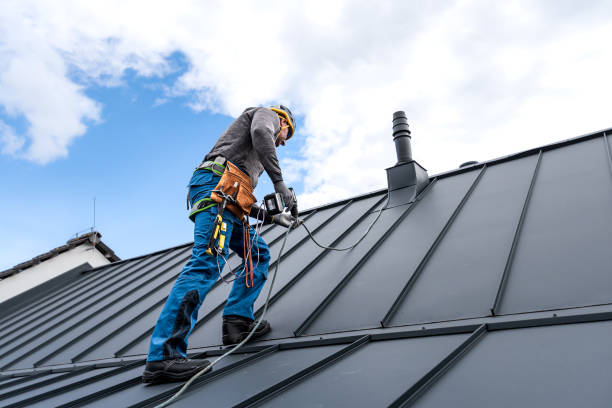 Best Sheet Metal Roofing  in Payne, OH
